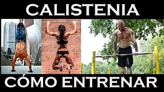 PROGRAMA DE ENTRENAMIENTO SEMANAL CALISTENIA y STREET WORKOUT [upl. by Hannus]