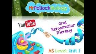 Treating Cholera  Oral Rehydration Therapy [upl. by Bridge]