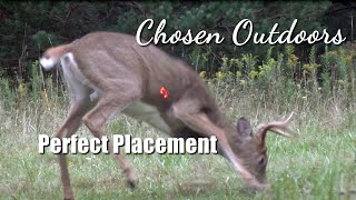 Slow Motion Perfect Placed Shot Whitetail Deer Hunting Crossbow  Chosen Outdoors [upl. by Enieledam]