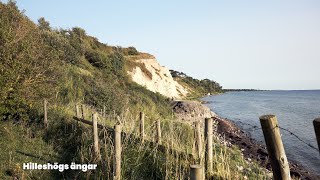 Skånes Natur En Filmisk Hyllning till Sydsveriges Vilda Skönhet [upl. by Marj703]