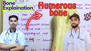 👨‍⚕️🩺🦴 Humerous BoneMBBS🤯 Bone Explanationchartsdoctor mbbs anatomyaiimsbones medico [upl. by Magas]