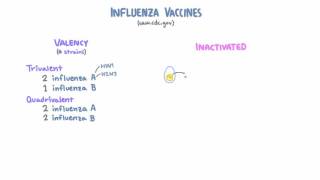 Influenza Vaccines [upl. by Assilla]