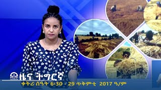 ዜና ትግርኛ  ቀትሪ ሰዓት 6፡30  29 ጥቅምቲ 2017 ዓም  TigraiTelevision  ቴሌቪዥንትግራይ [upl. by Narod]