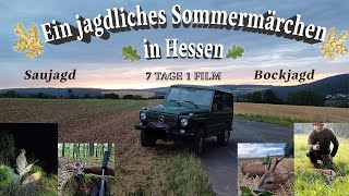 Ein jagdliches Sommermärchen in Hessen  7 JAGDTAGE 1 FILM [upl. by Prud756]