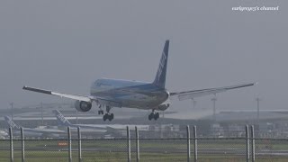 All Nippon Airways ANA Boeing 767300ER JA608A 成田国際空港 着陸 201687 [upl. by Andres]