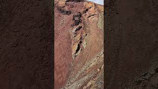 VOLCANO CRATERS are being COLONIZED on Lanzarote volcano canarias nature lanzarote geology [upl. by Burnsed196]