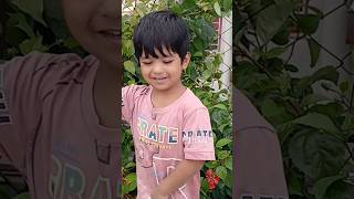 Islamia jolsa song live music baby kids AMAAnimations  ohekikorilebolopaibotomare  funn [upl. by Elaweda]