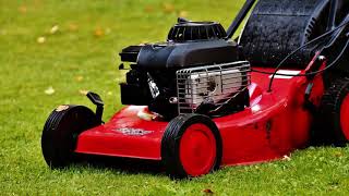 Sound of Petrol Lawn Mower for Sleeping  White Noise All Night Long [upl. by Salohcim]