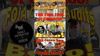 Frauditor GoatBoy The FOIA Fool of Chicago shorts [upl. by Ioj671]