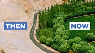 Can Chinas Great Green Wall Stop Its Deserts From Spreading [upl. by Hector590]