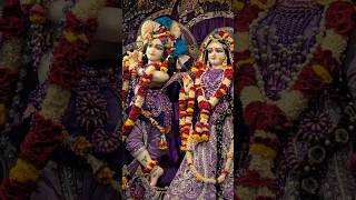 Jai Shree Krishna l Jai Radhe Radhe Krishna Govind l 3 September 2024 l shorts l youtubeshorts l [upl. by Tertius]