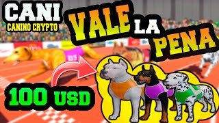 CANINO CRYPTO NFT 100 dolares al mes VALE LA PENA [upl. by Devora]