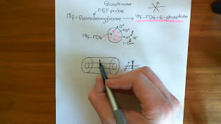 Positron Emission Tomography PET Part 3 [upl. by Rrats]