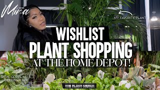 HOUSEPLANT SHOPPING TRIP • PLANT SWAP amp GROWTH UPDATES [upl. by Gilbert]