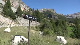 Mercantour Source du Var col de la Cayolle France [upl. by Marga]