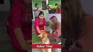 Happy Kukur tihar short shortshortvideo [upl. by Maurilla]