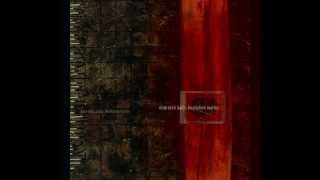 Nine Inch Nails  Disappointed HD [upl. by Ahsiekar153]