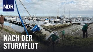 SchleswigHolstein Nach der JahrhundertSturmflut  Die Nordreportage  NDR Doku [upl. by Zzahc]