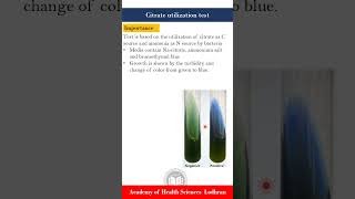 Citrate utilization test Biochemical tests  Microbiology  by ImranY aseen [upl. by Lightman]