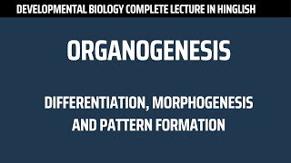 Organogenesis  Differentiation Morphogenesis and Pattern Formation  Developmental Biology lecture [upl. by Nimrahc986]