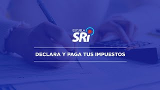 Video 5  DECLARA Y PAGA TUS IMPUESTOS [upl. by Australia]