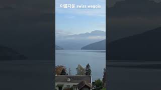 스위스 베기스 마을 언덕 풍경 swiss weggis [upl. by Purington]