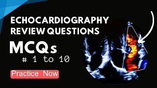 Echocardiography MCQs Quiz  Echo Board  ARDMS  FCPS Echocardiography for Beginners [upl. by Jea]