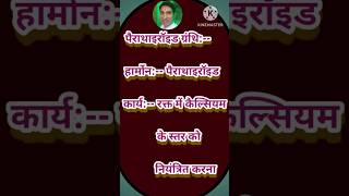 ENDOCRINE GLANDS  अंतःस्त्रावी ग्रंथियां shorts [upl. by Hillard]