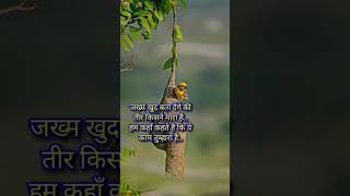 Very sad shayari status 😔birds care sad shayari motivation respect bird weep [upl. by Viviyan813]