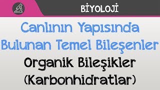 Canlının Yapısında Bulunan Temel Bileşenler  Organik Bileşikler Karbonhidratlar [upl. by Kirsti]