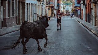 Toros ultima tarde Barrio San Joaquin  Toro de calle  Onda [upl. by Elbertine]