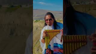 Instrumental Flute Music music panflute ammorett musica shorts [upl. by Aynatal]