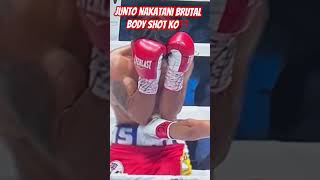 Junto Nakatani Gets Brutal KO‼️ juntonakatani nakatani shorts knockout [upl. by Ilhsa53]