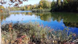 Parc du Centenaire à DollarddesOrmeaux [upl. by Gnay]