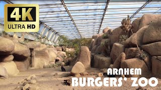 Burgers Zoo Arnhem  Herfst 2021  4K [upl. by Prosperus963]