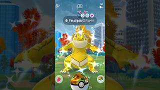 When I Got HUGE ✨ Shiny MONSTER with Safari Ball in Pokemon GO [upl. by Aitekram579]