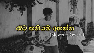 නිදහසේ තවනිවෙන්න slowedreverb sinhala songs collection [upl. by Elery]