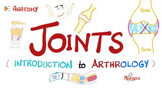 Joints  Anatomy amp Physiology [upl. by Daphie]