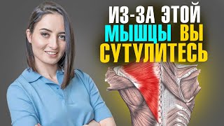 ЭТА мышца зажата у 90 людей  5 ПРОСТЫХ упражнений чтобы ЭТО исправить [upl. by Neirual767]