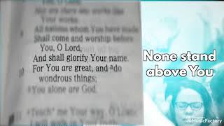 You Are The Lord  Lyric Video [upl. by Anoel359]