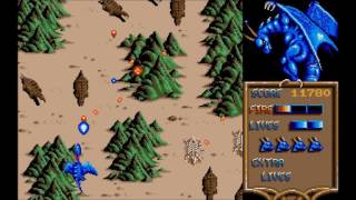 Dragon Spirit  Atari ST [upl. by Ahsemal]