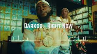 Darkoo  Right Now Audio [upl. by Gamber]