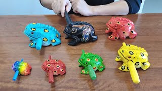 Wooden Frog Unboxing and Review 2021  Colorful Rasp Musical Instrument [upl. by Waltner]