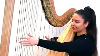 Hasselmans  Feuilles DAutomne Serenade Mélancolique Op45  Harp Zita Silva [upl. by Yddur]