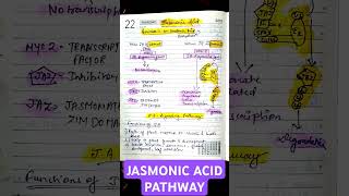 JASMONIC ACID SIGNALLING PATHWAY• FROM ALPHA LINOLENIC ACID• CSIR LIFE SCIENCES csirnet biology [upl. by Fanya]