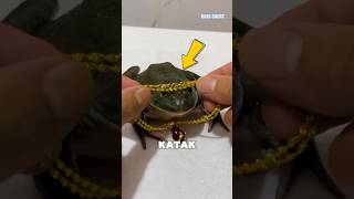 KATAK INI ADALAH KATAK TERKAYA DIDUNIA⁉️ shortsvideo shortsfeed short [upl. by Okiron]