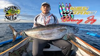 205kg DOGTOOTH TUNA  Year End Jigging Session  December 28 2023 [upl. by Sukramal]