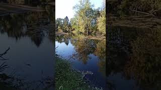 This is The Rock kinderhook Creek Kinderhook New York [upl. by Giardap]