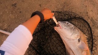 Unbelievable CATCH Black drum on a SPOON CC TEXAS [upl. by Hakaber]