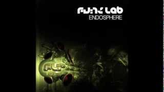 The Funk Lab  Endosphere [upl. by Adnirol]